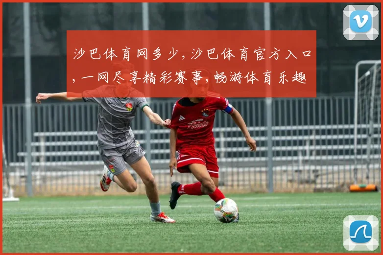 沙巴体育网多少,沙巴体育官方入口,一网尽享精彩赛事,畅游体育乐趣无穷